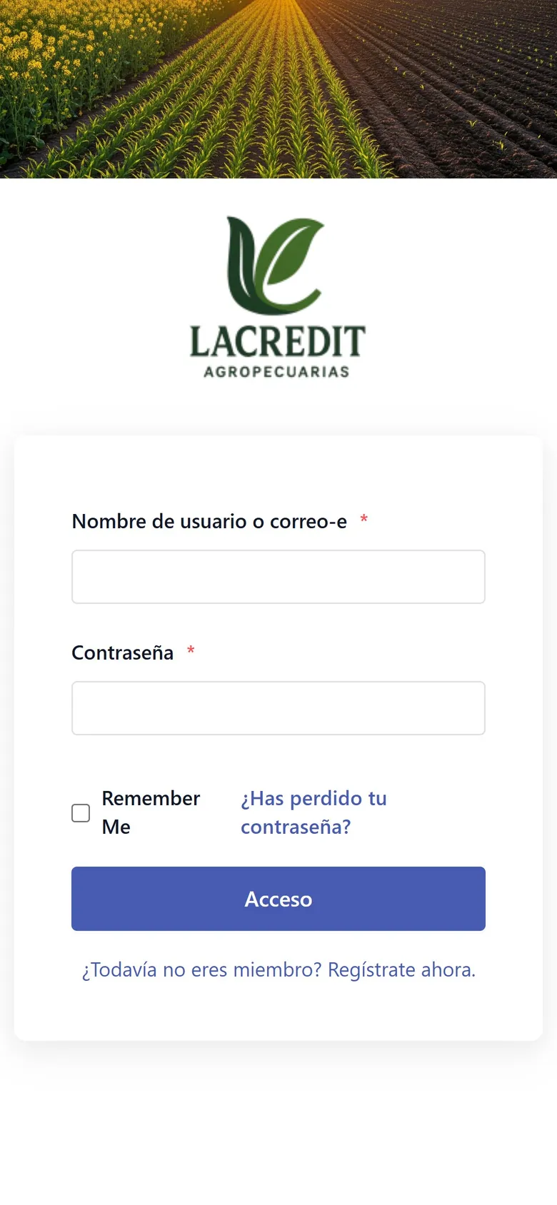 LasCredit en móvil